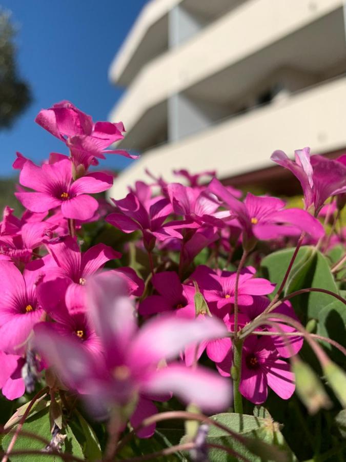 Eurobeach Residence 카발리노 외부 사진